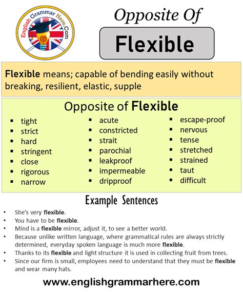 flexibet meaning|meaning of flexible person.
